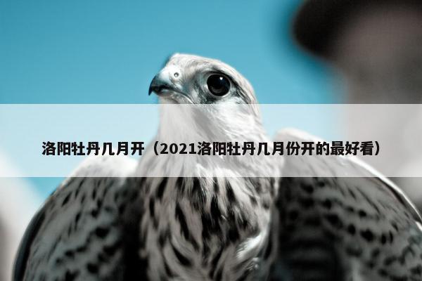 洛阳牡丹几月开（2021洛阳牡丹几月份开的最好看）