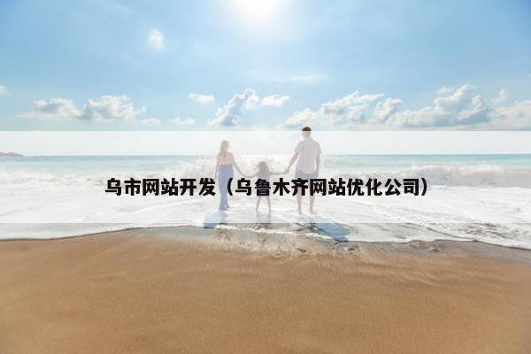 乌市网站开发（乌鲁木齐网站优化公司）