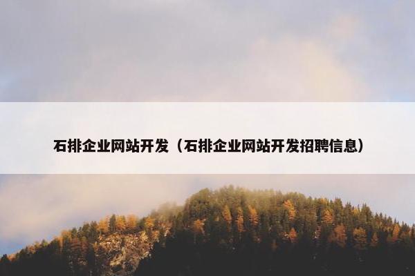 石排企业网站开发（石排企业网站开发招聘信息）