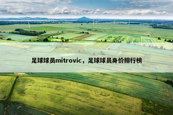 足球球员mitrovic，足球球员身价排行榜