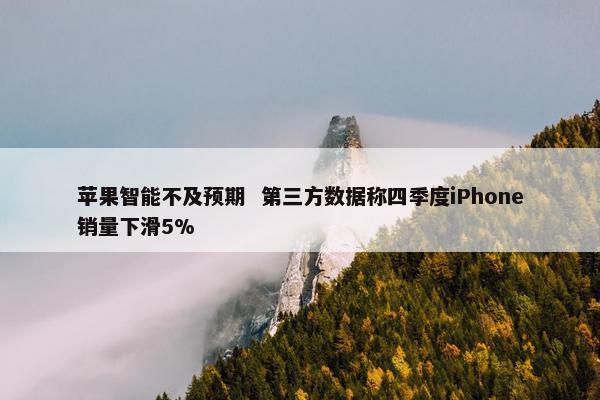 苹果智能不及预期  第三方数据称四季度iPhone销量下滑5%