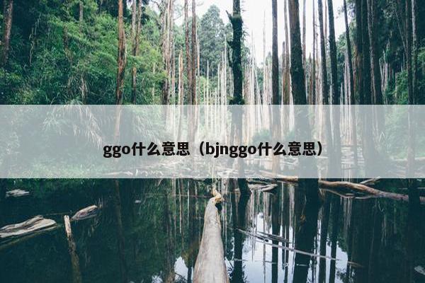 ggo什么意思（bjnggo什么意思）