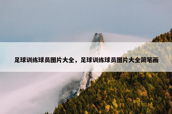 足球训练球员图片大全，足球训练球员图片大全简笔画