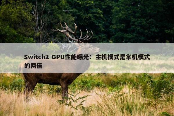 Switch2 GPU性能曝光：主机模式是掌机模式的两倍