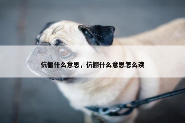 伉俪什么意思，伉俪什么意思怎么读