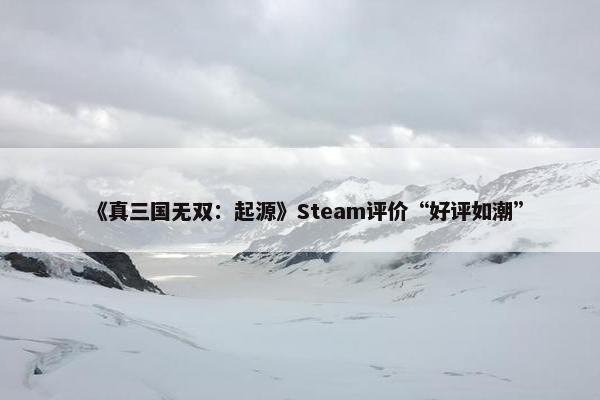 《真三国无双：起源》Steam评价“好评如潮”