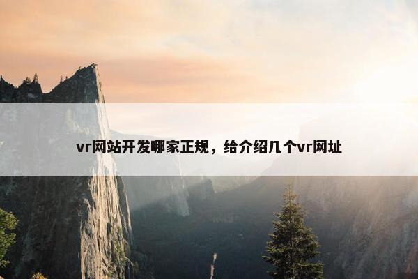 vr网站开发哪家正规，给介绍几个vr网址