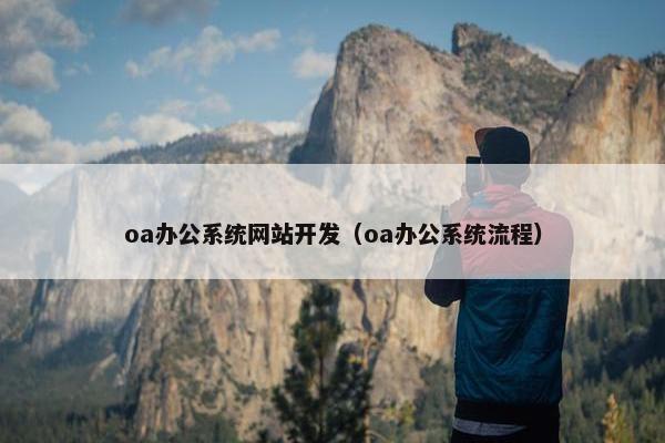 oa办公系统网站开发（oa办公系统流程）