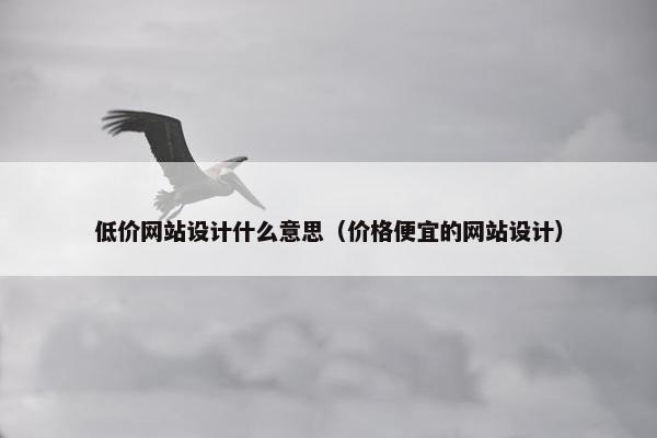 低价网站设计什么意思（价格便宜的网站设计）