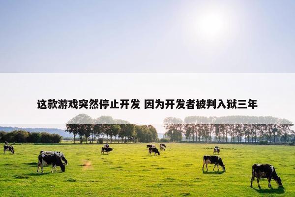 这款游戏突然停止开发 因为开发者被判入狱三年