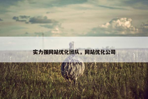 实力强网站优化团队，网站优化公司