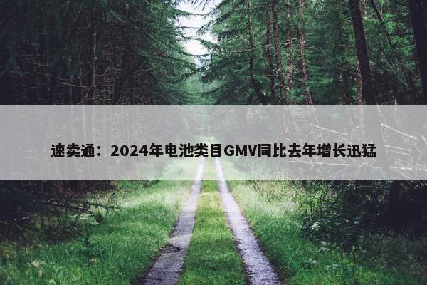 速卖通：2024年电池类目GMV同比去年增长迅猛