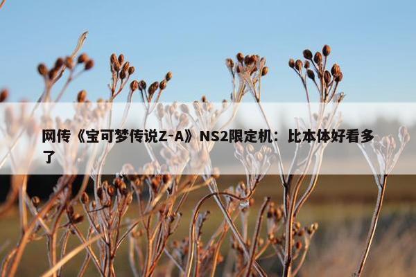 网传《宝可梦传说Z-A》NS2限定机：比本体好看多了