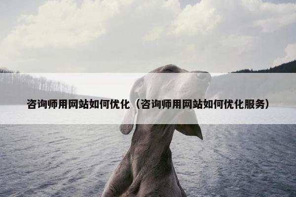 咨询师用网站如何优化（咨询师用网站如何优化服务）