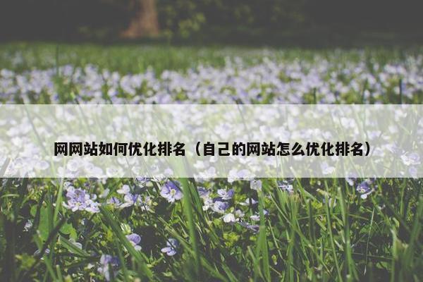 网网站如何优化排名（自己的网站怎么优化排名）