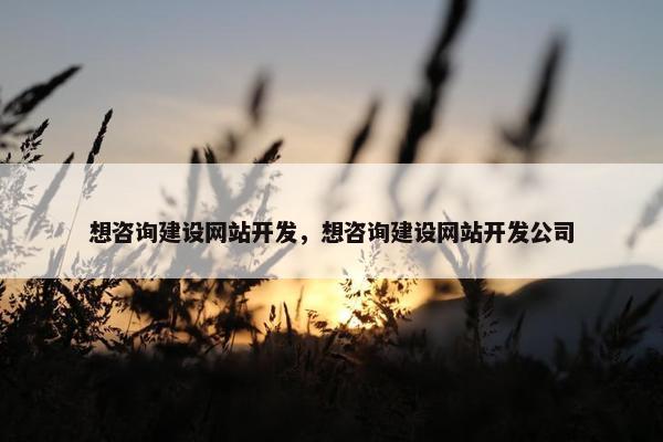 想咨询建设网站开发，想咨询建设网站开发公司