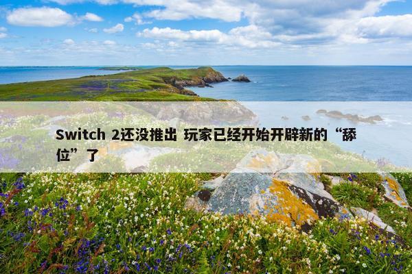 Switch 2还没推出 玩家已经开始开辟新的“舔位”了