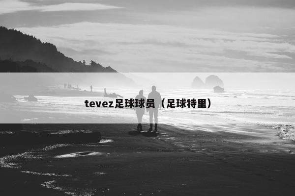 tevez足球球员（足球特里）