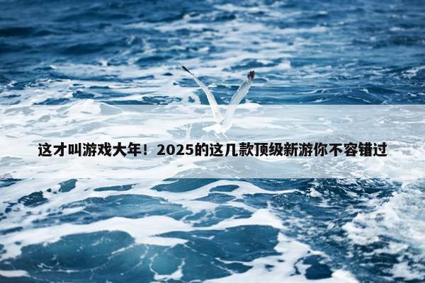 这才叫游戏大年！2025的这几款顶级新游你不容错过