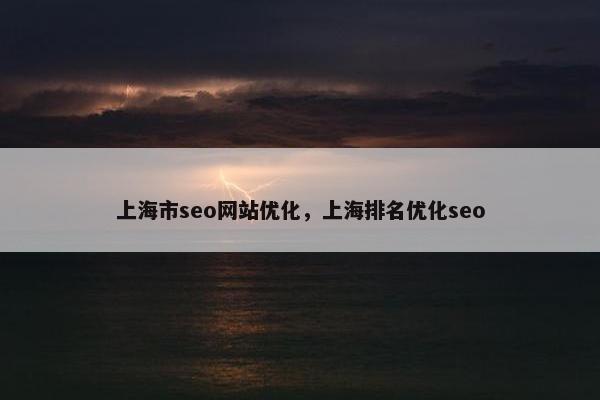 上海市seo网站优化，上海排名优化seo