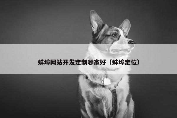 蚌埠网站开发定制哪家好（蚌埠定位）