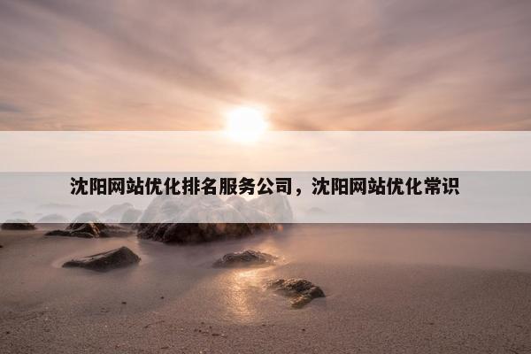 沈阳网站优化排名服务公司，沈阳网站优化常识