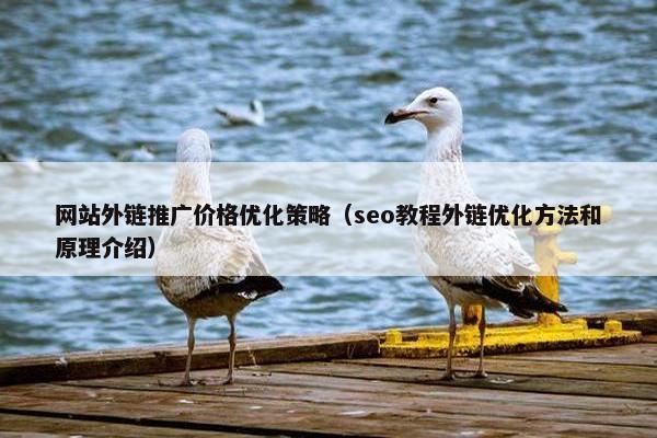 网站外链推广价格优化策略（seo教程外链优化方法和原理介绍）