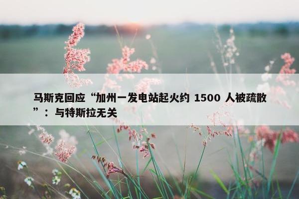 马斯克回应“加州一发电站起火约 1500 人被疏散”：与特斯拉无关