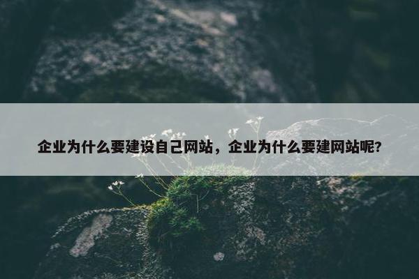 企业为什么要建设自己网站，企业为什么要建网站呢?