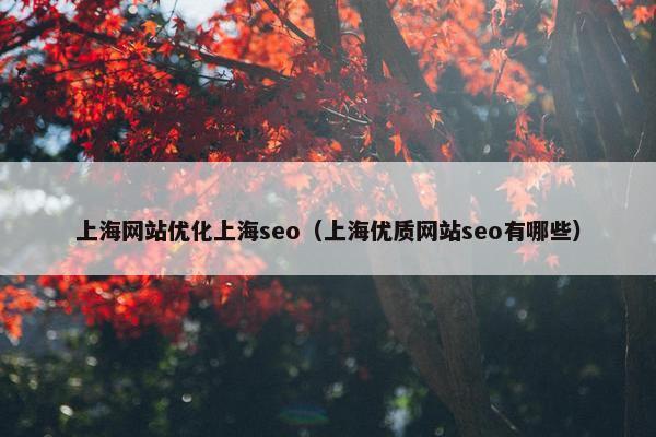 上海网站优化上海seo（上海优质网站seo有哪些）