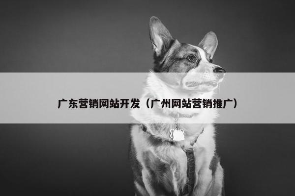 广东营销网站开发（广州网站营销推广）