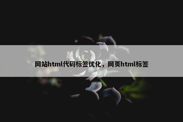 网站html代码标签优化，网页html标签