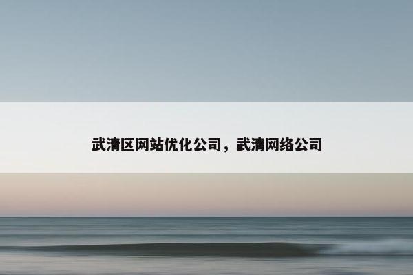 武清区网站优化公司，武清网络公司