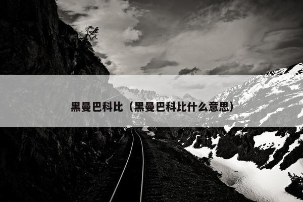 黑曼巴科比（黑曼巴科比什么意思）