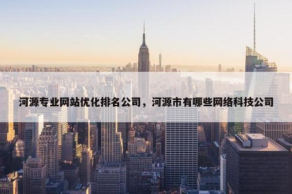 河源专业网站优化排名公司，河源市有哪些网络科技公司