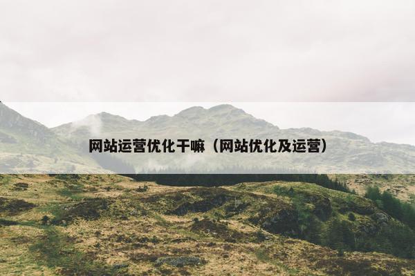 网站运营优化干嘛（网站优化及运营）