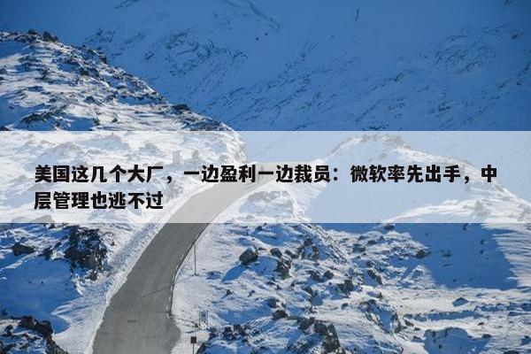 美国这几个大厂，一边盈利一边裁员：微软率先出手，中层管理也逃不过