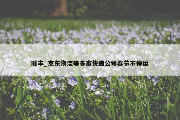 顺丰_京东物流等多家快递公司春节不停运