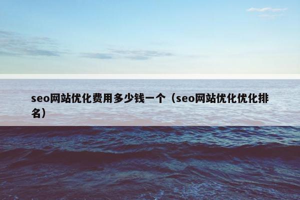 seo网站优化费用多少钱一个（seo网站优化优化排名）