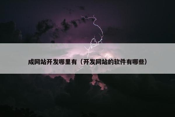 成网站开发哪里有（开发网站的软件有哪些）