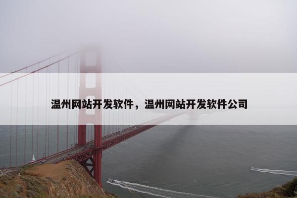 温州网站开发软件，温州网站开发软件公司