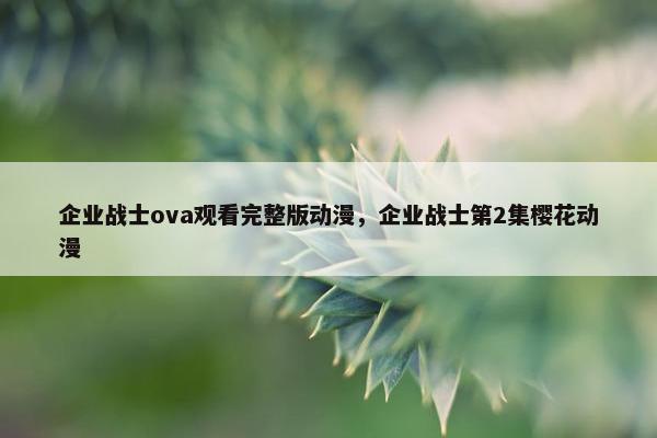 企业战士ova观看完整版动漫，企业战士第2集樱花动漫