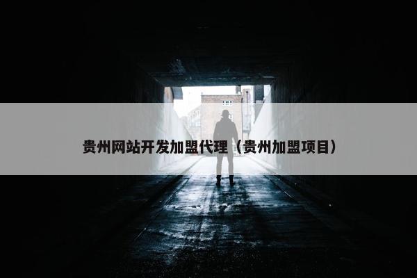 贵州网站开发加盟代理（贵州加盟项目）