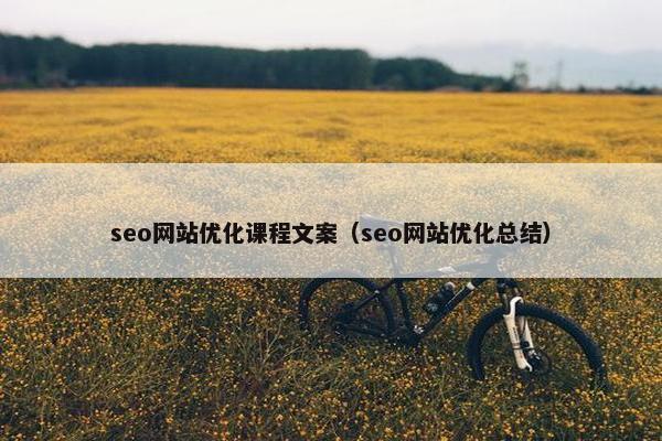 seo网站优化课程文案（seo网站优化总结）