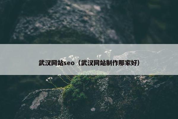 武汉网站seo（武汉网站制作那家好）