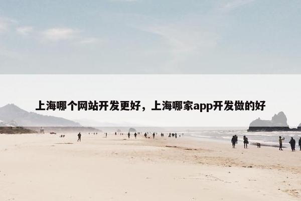 上海哪个网站开发更好，上海哪家app开发做的好