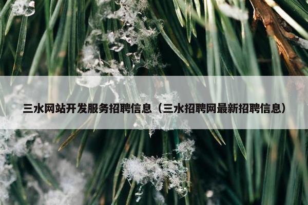 三水网站开发服务招聘信息（三水招聘网最新招聘信息）