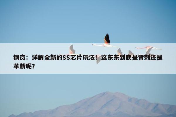 钢岚：详解全新的SS芯片玩法！这东东到底是背刺还是革新呢？