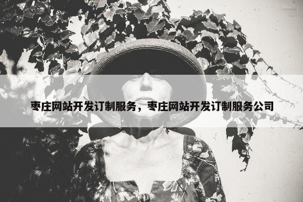 枣庄网站开发订制服务，枣庄网站开发订制服务公司