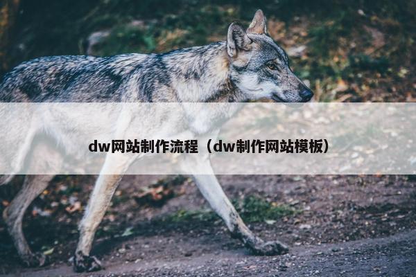 dw网站制作流程（dw制作网站模板）